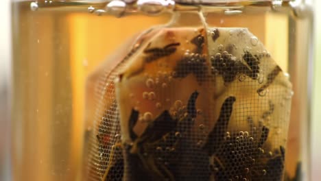 infusing tea: a close-up look at a tea bag steeping in hot water, showcasing the release of flavors and aromatic essences in a transparent glass container