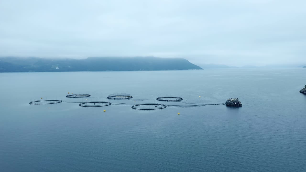 노르웨이에서 연어  ⁇ 시를 하는 공중 촬영