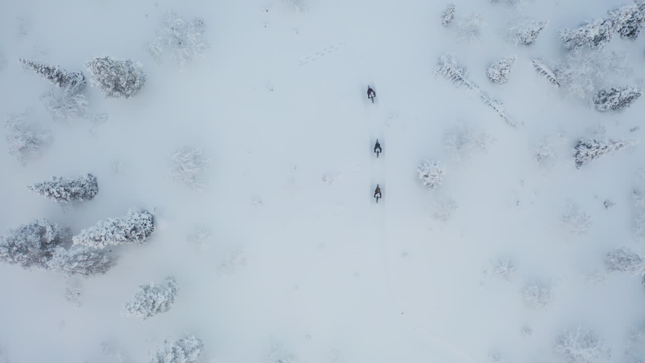 핀란드 라플란드의 눈 덮인 숲 한가운데에서 겨울철 팻바이크를 타는 세 사람의 위에서 공중 전망