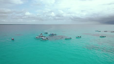Mnemba Island, Nungwi, Zanzibar, Tanzania- 18 June 2024: Drone view of tourists chasing and swimming with the dolphins in Mnemba Island in Zanzibar