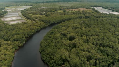 River-Surrounded-With-Lush-Tropical-Rainforest-In-El-Paredon,-Guatemala---aerial-drone-shot