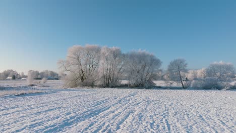 aerial establishing view of a rural landscape in winter, snow covered countryside fields and trees, cold freezing weather, sunny winter day with blue sky, wide slow ascending drone shot moving forward