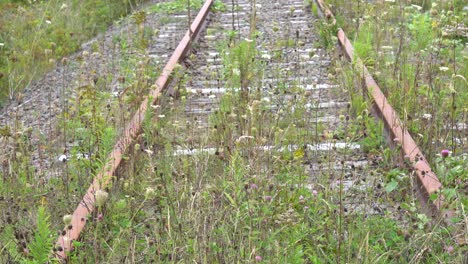 La-Naturaleza-Se-Apodera-Del-Viejo-Ferrocarril-Que-Nadie-Usa