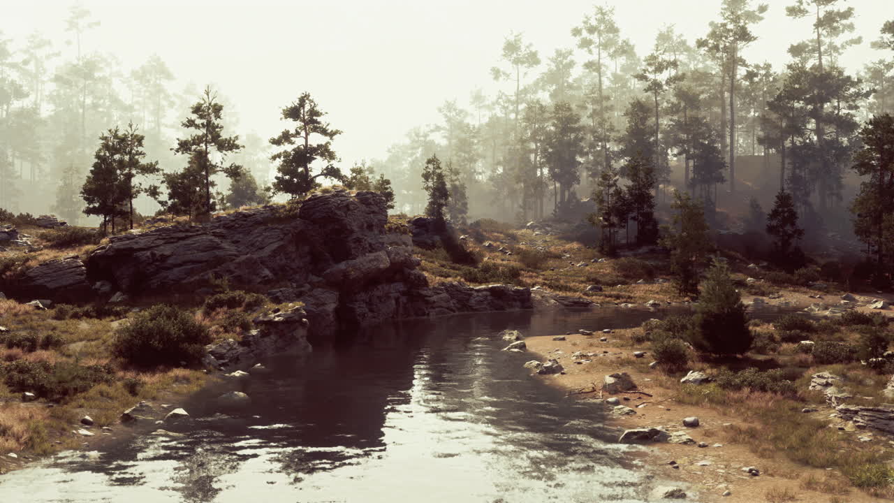 paisaje sereno de bosque y río