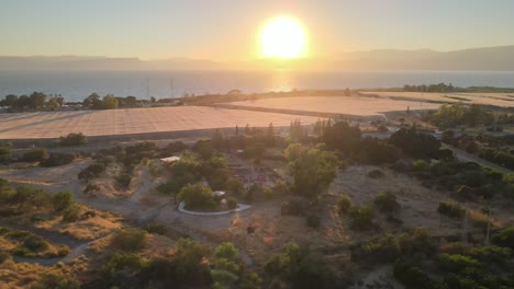 aerial view of farmland at sunset with golden light spreading over sea and distant mountains. trees and fields form peaceful rural scene under warm sky, capturing beauty of nature and evening calm