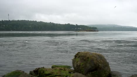 Low-angle-view-of-water-quickly-rushing-back-to-land-as-seagull-soars-in-overcast-sky