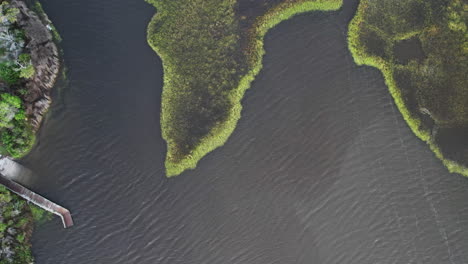 Downward-angle-drone-shot-of-the-salt-marsh-or-wetlands