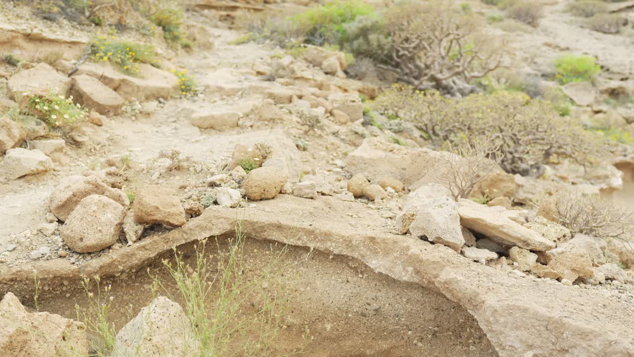 rocas de piedra arenisca en el paisaje desértico de tenerife, vista de mano