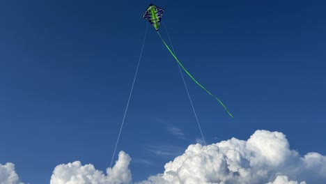 green kite with long tail flying in blue