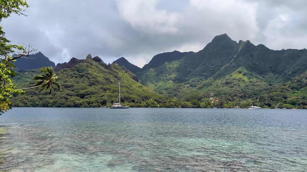 Scenic view of rugged mountainous terrain covered in forest trees on Moorea Island in French Polynesia, South Pacific
