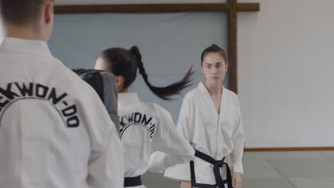 mujeres jóvenes haciendo artes marciales