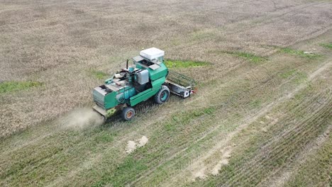 aerial view of a green vintage combine harvester mows wheat in the field for the food industry, yellow reap grain crops, sunny summer day, birdseye shot moving forward