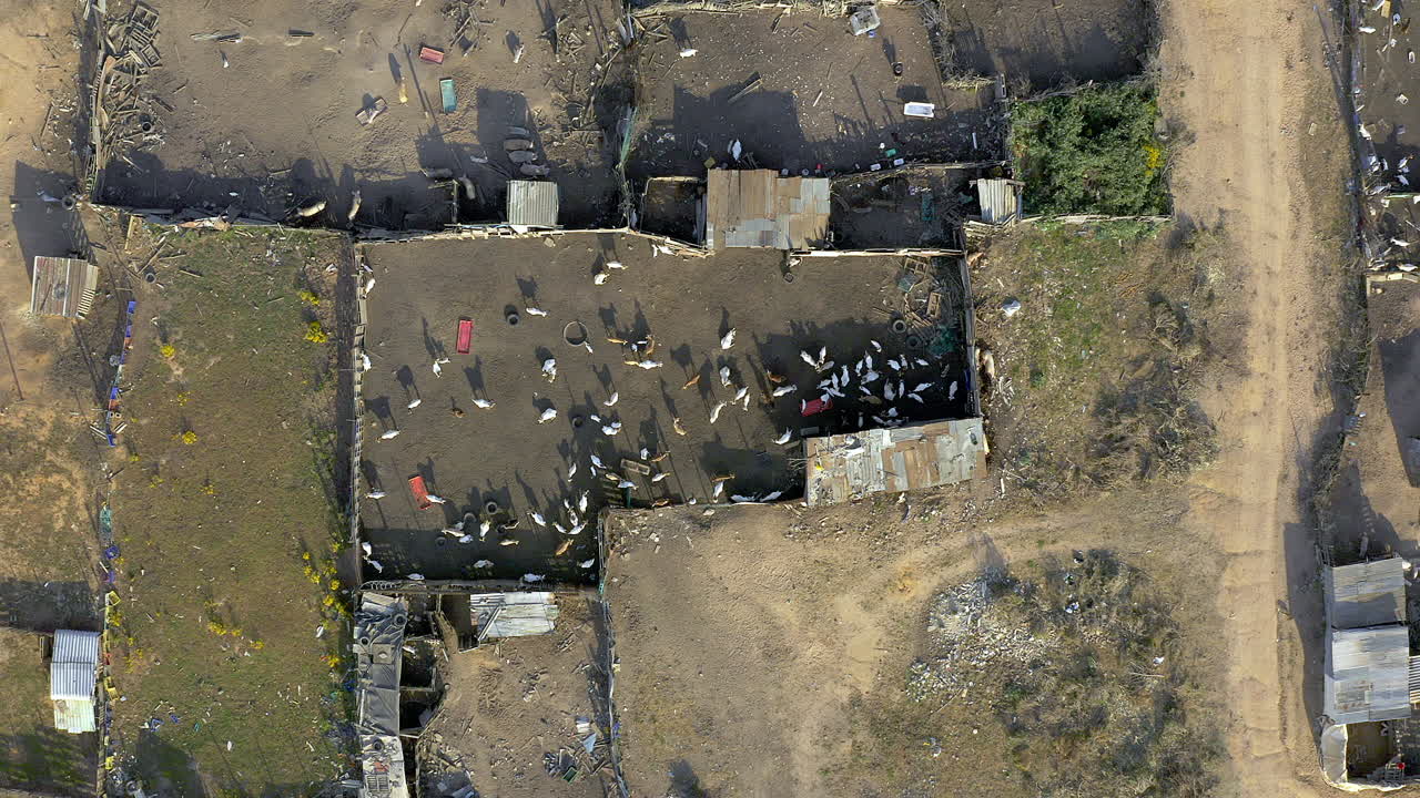 vivimos en la tierra y vivimos de ella.