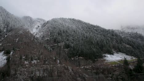 Snow-dusted-trees-on-a-mountain-seen-from-a-moving-car,-overcast-weather