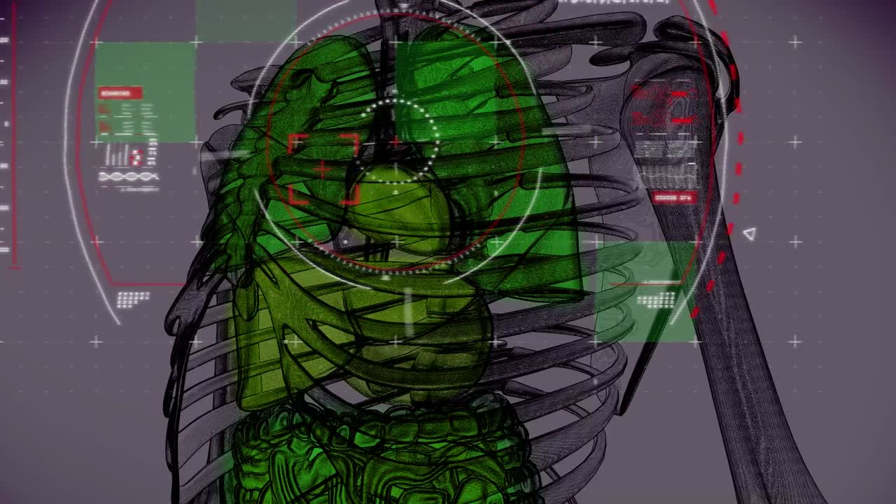 animación de la exploración del alcance sobre el esqueleto