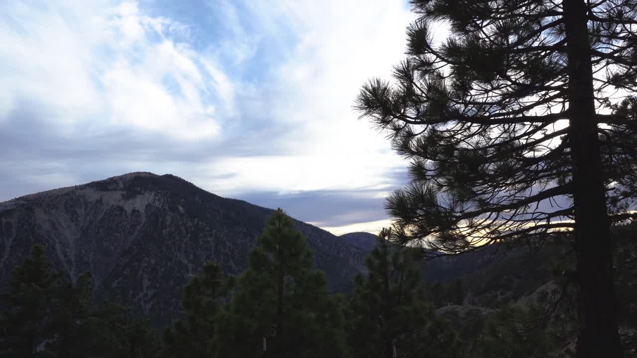 Pine cone tree in foreground still shot with mountain in the background and clouds passing