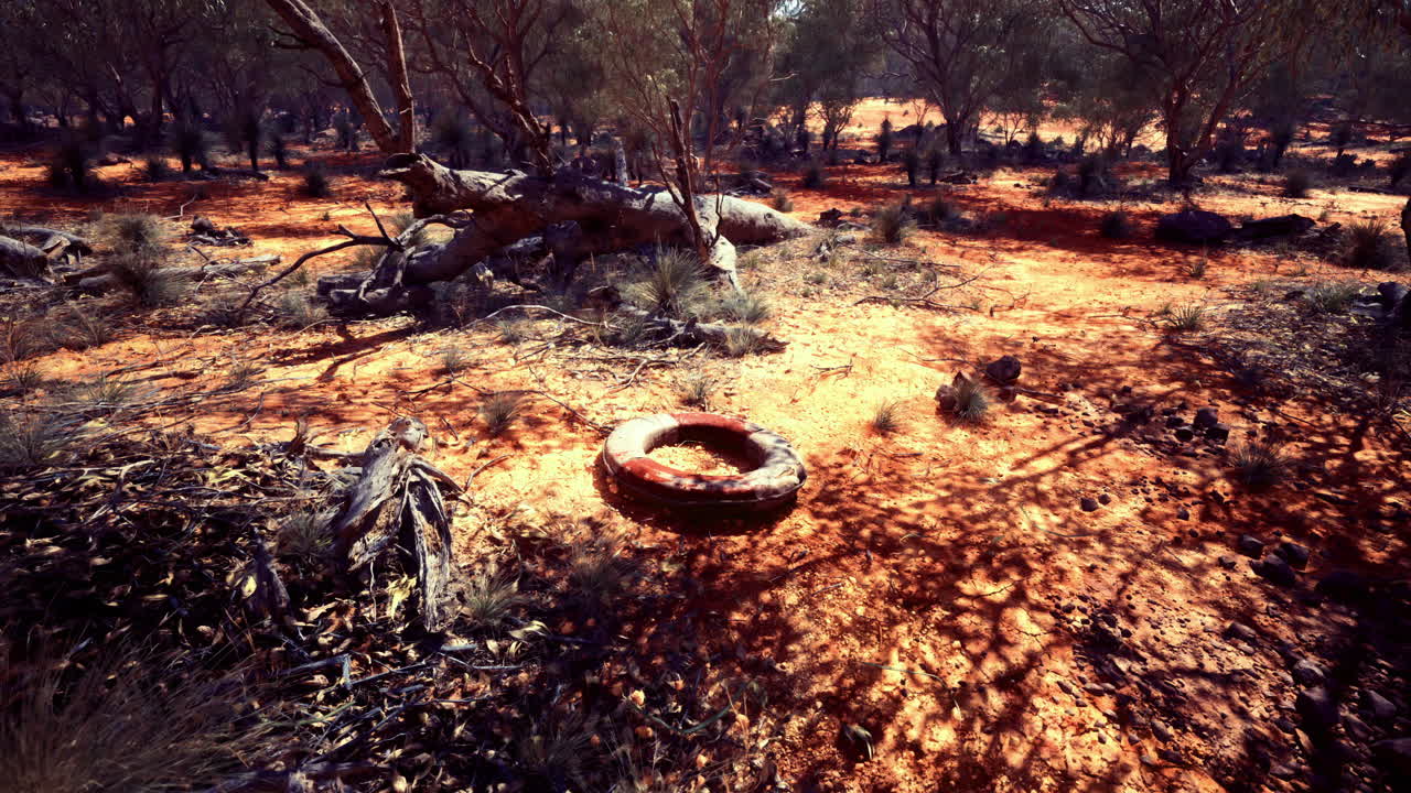 Desolate landscape showcases abandoned tire amidst dry cracked earth