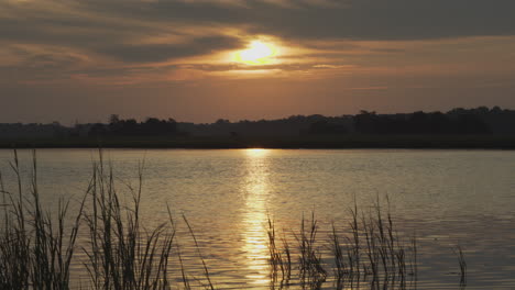 sun at sunrise at the kiawah river, pan up, wide shot