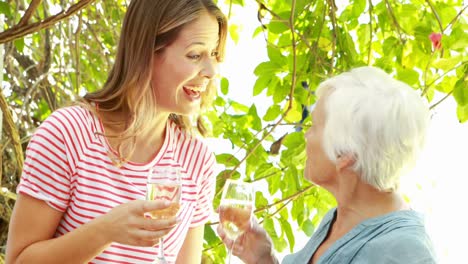 Porträt-Von-Frauen,-Die-Weißwein-Trinken