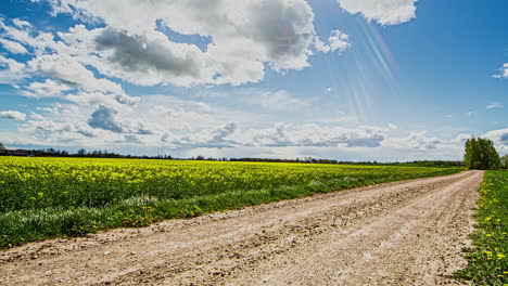 un camino de tierra a lo largo de un campo de cultivo de colza con un lapso de tiempo de cloudscape sobrecarga