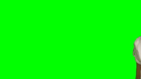 Person-making-hand-gesture-against-green-screen-background