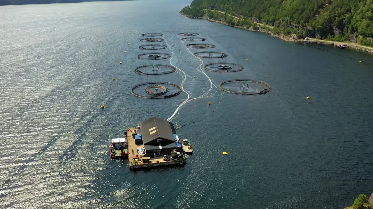 노르웨이에서 연어  ⁇ 시를 하는 공중 촬영