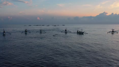 aerial of many tourist boats chasing dolphins on tropical ocean at sunrise in lovina bali indonesia