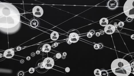 animación de la red de perfiles e iconos digitales contra un fondo negro.