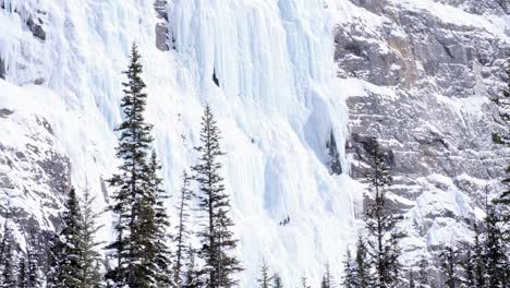 ice climber leads pitch two of steep route on sunny weeping wall