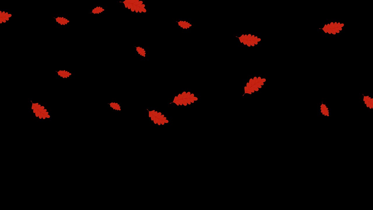 잎이 떨어지는 애니메이션: 검은색 chromakey 배경에 떨어지는 가을 오크 잎.