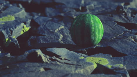 vibrant watermelon resting on textured rocky surface under dim light