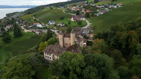aerial view of a castle in a vineyard