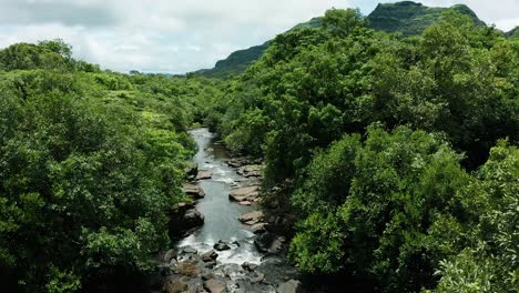 flying between trees over a pristine jungle stream flowing inside the forest with distant monsoon clouds and mountains