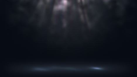 dark forest spotlight background