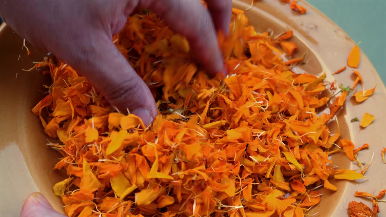 Human hand sifting through marigold petals
