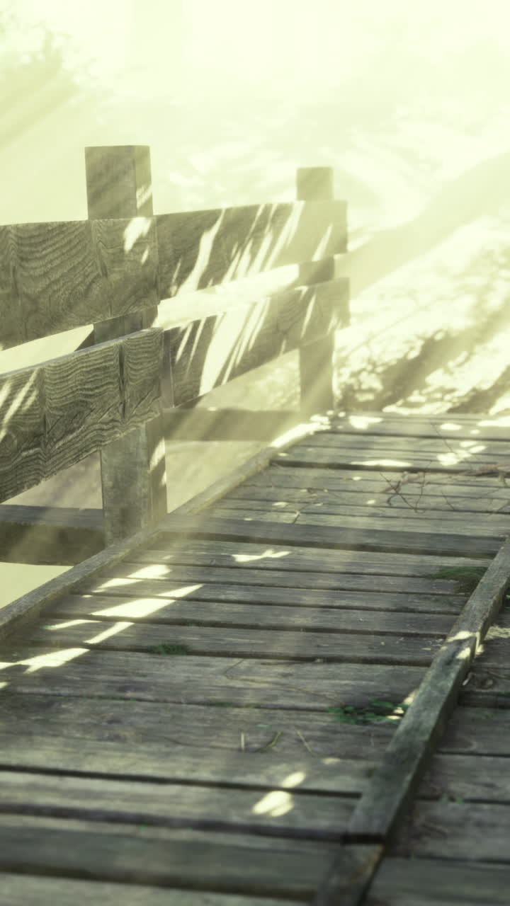 Serenity found on a wooden bridge under soft morning sunlight rays