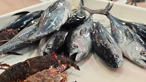 fresh seafood on display for sale in a fish market