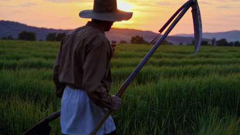 farmer harvesting wheat at sunset