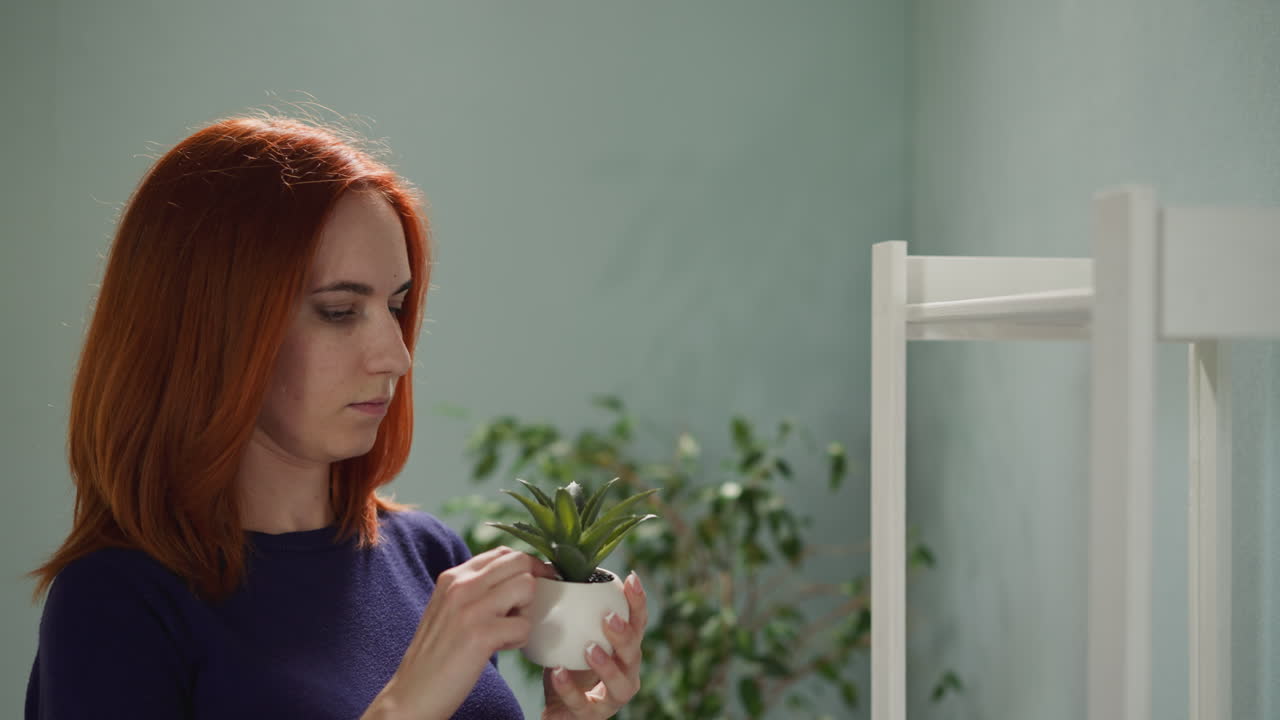 la ama de casa pelirroja toma la planta de aloe decorativa del estante