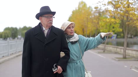 elderly couple walking and pointing in autumn park