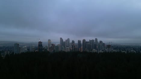 aerial view of urban skyline framed by lush foliage