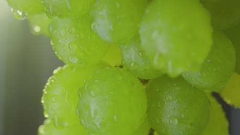 a bundle of green wet grapes spin around