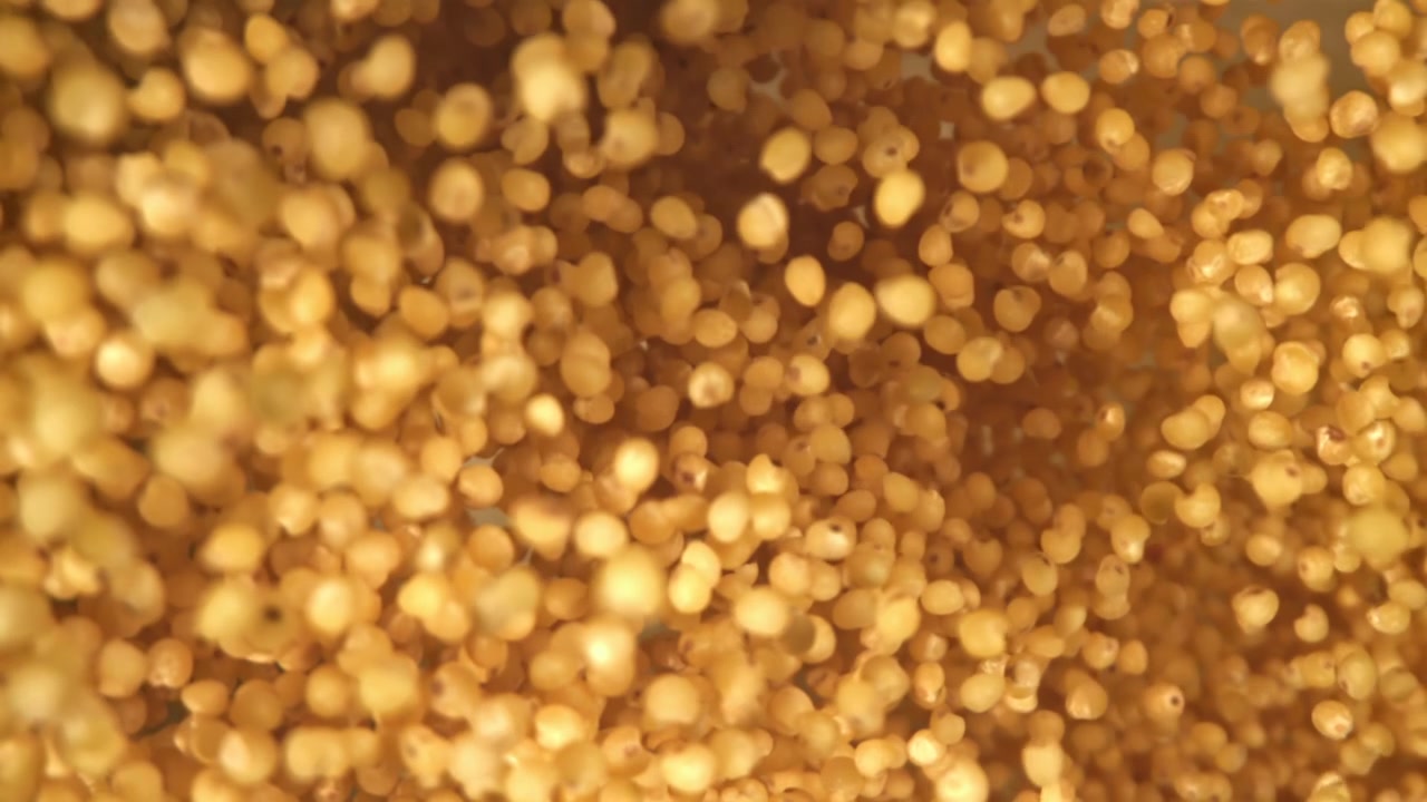 Gyldne hirsekerner falder i slowmotion