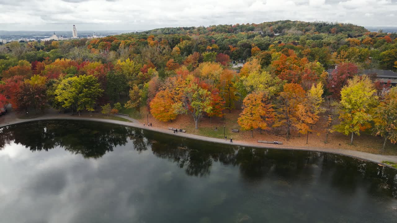 Curved lakeside pathway runs beside calm water surrounded by bright autumn trees in Mont Royal Park near Montreal Tower creating colorful seasonal scene captured from aerial drone view