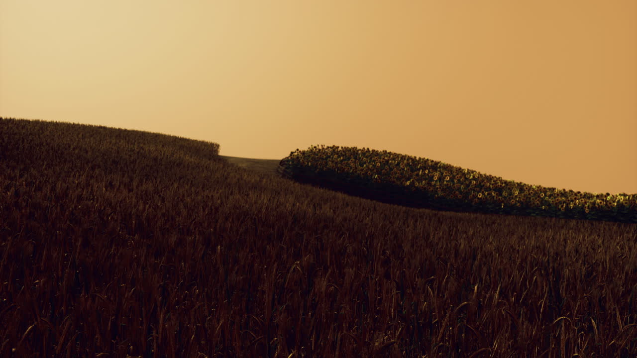 Sunset over rolling fields with vibrant colors and undulating landscape