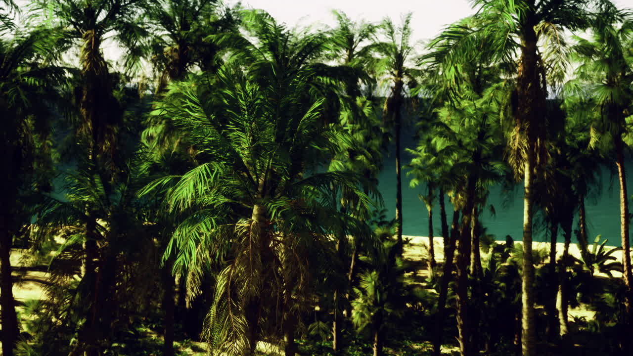 Vibrant green palms contrast with a serene blue ocean shoreline during daytime