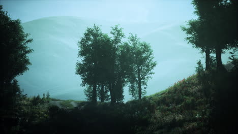 paisaje montañoso brumoso con árboles y sendero