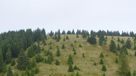 Slow-Aerial-Pedestal-Up-View-Of-Side-Of-Smrekovec-In-Slovenia