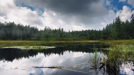 Black-lake-and-marshes,-forest-in-background,-Crno-jezero-on-Pohorje,-Slovenia,-popular-hiking-destination,-time-lapse-and-reflection-of-dramatic-sky