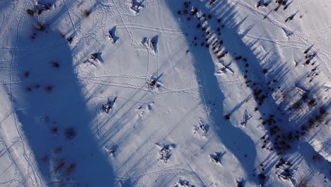 Vista-De-Drones-De-Arriba-Hacia-Abajo-De-Huellas-De-Huellas-De-Nieve-En-El-Bosque-Rural